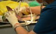 Dental-cleaning