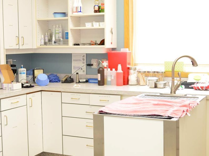 Treatment-area