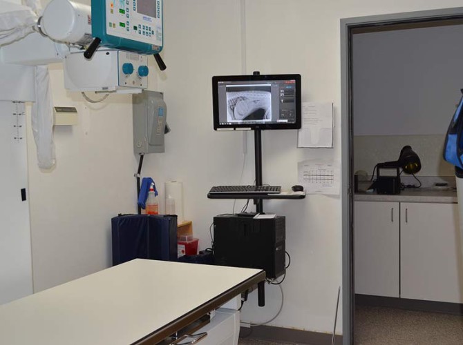 radiograph-room