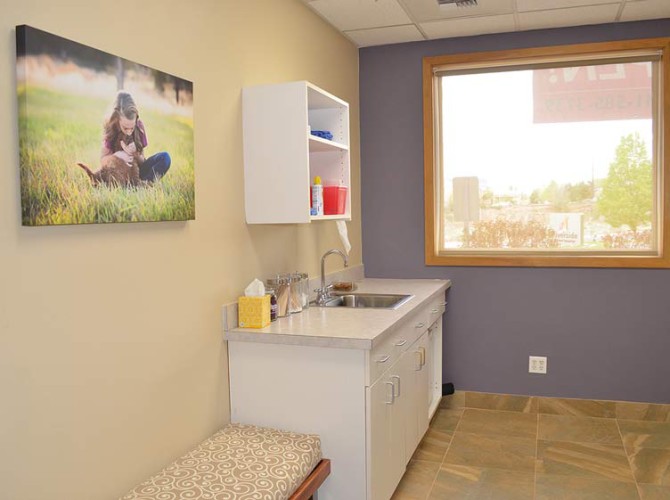 riverside-animal-hospital-exam-room