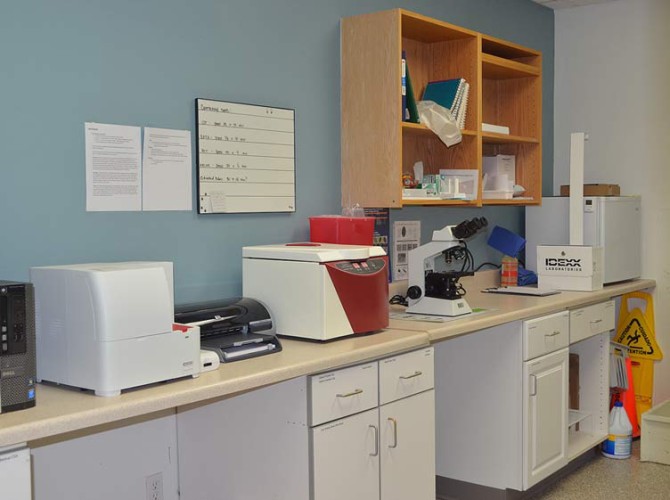 veterinary laboratory bend oregon